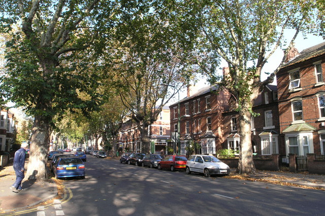A photo of Lenton Boulevard in Nottingham. There is a row of red houses across a road with tall trees in front